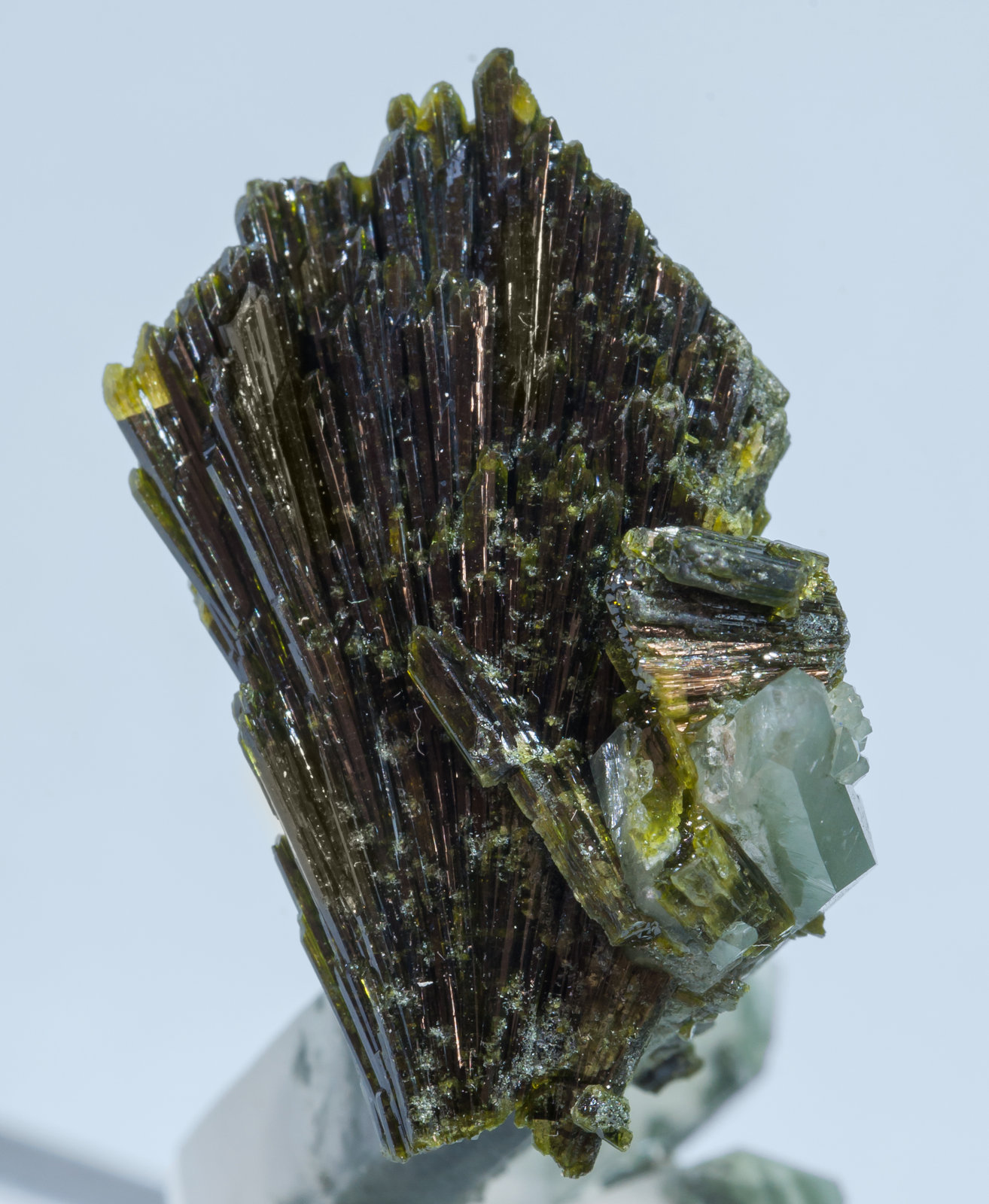 specimens/s_imagesAL5/Epidote-EC67AL5d.jpg