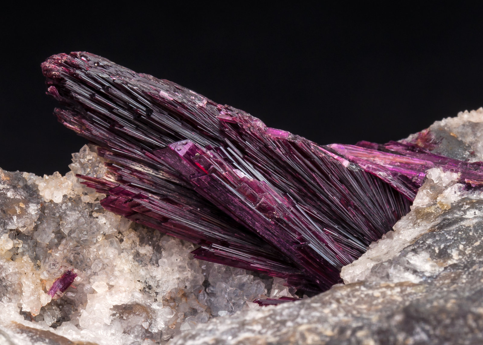 specimens/s_imagesAL5/Erythrite-TA98AL5d1.jpg