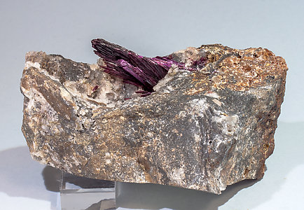 Erythrite with Quartz.