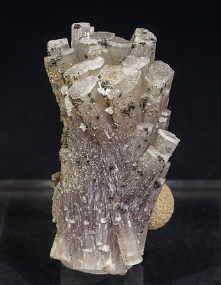 Fluorapatite with Muscovite and Chlorite.