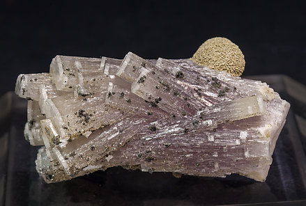 Fluorapatite with Muscovite and Chlorite. Side