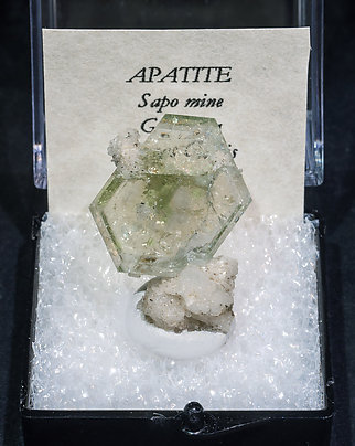 Fluorapatite.