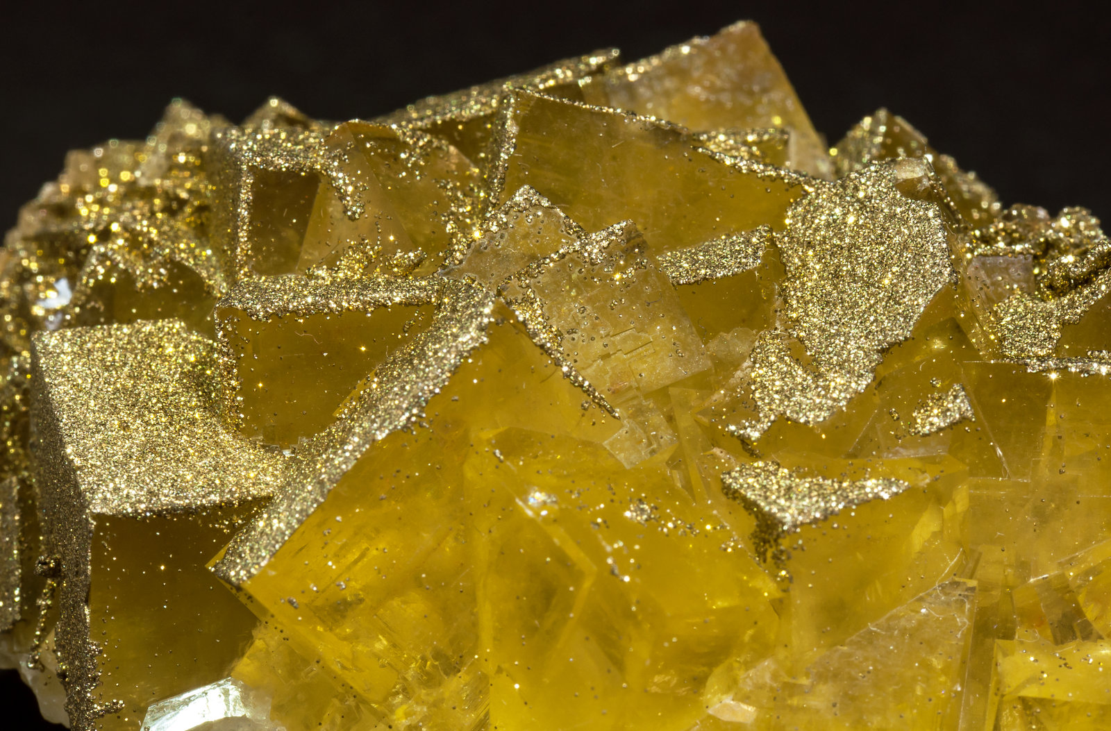 specimens/s_imagesAL5/Fluorite-NV27AL5d2.jpg