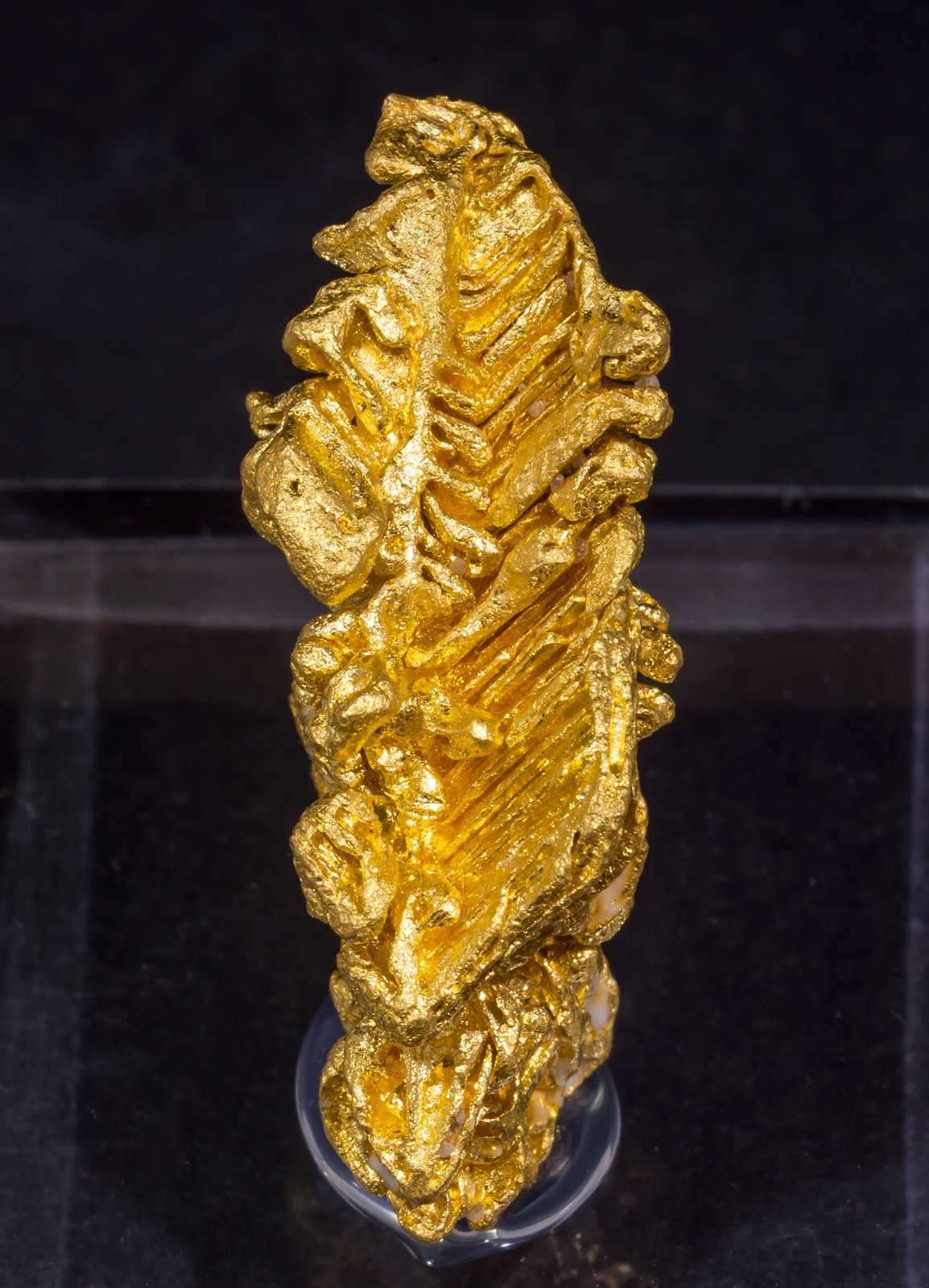 specimens/s_imagesAL5/Gold-TJ89AL5f.jpg