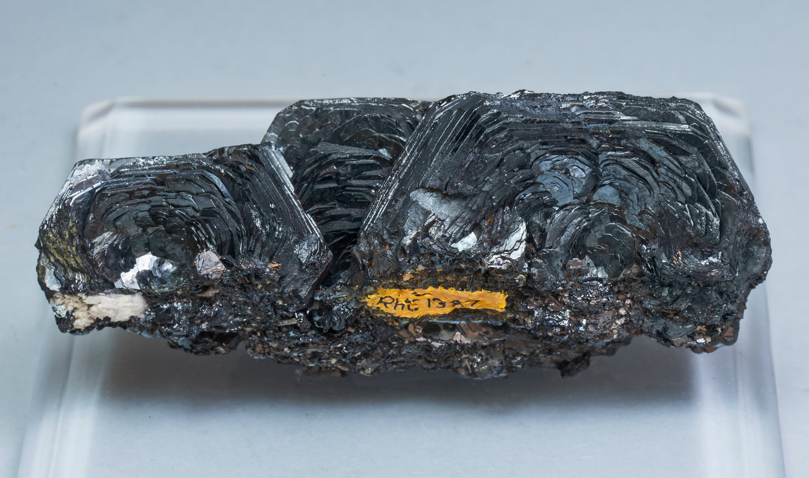 specimens/s_imagesAL5/Hematite-TA1AL5r.jpg