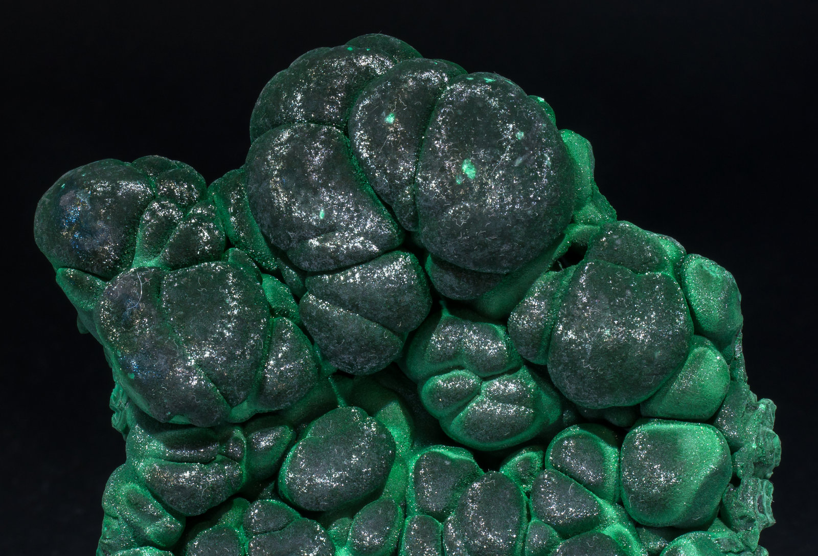 specimens/s_imagesAL5/Malachite-NL90AL5d.jpg