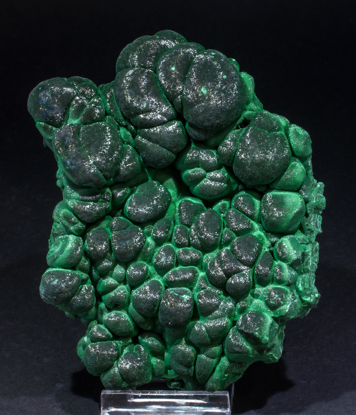 specimens/s_imagesAL5/Malachite-NL90AL5f.jpg