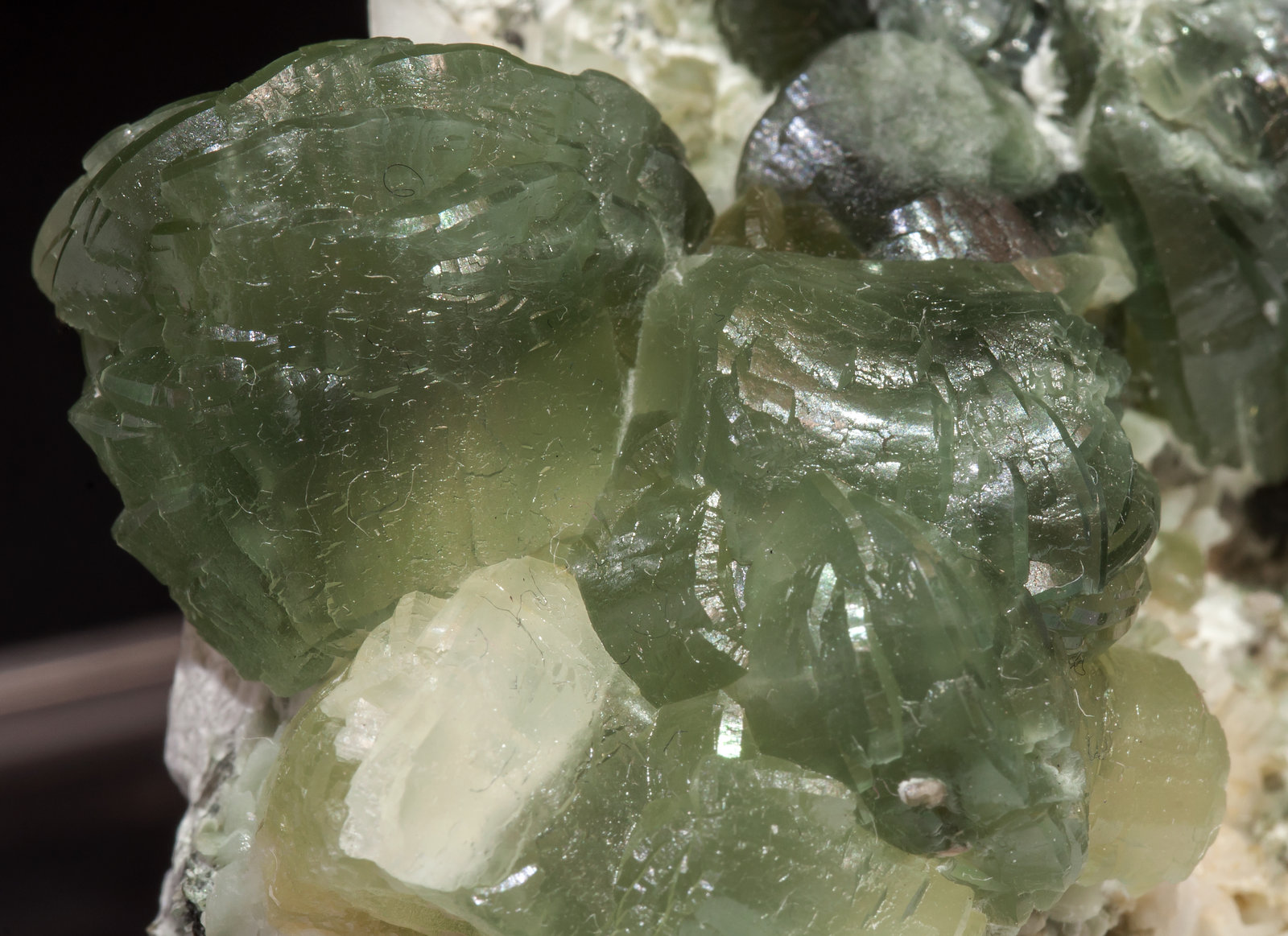 specimens/s_imagesAL5/Prehnite-MA7AL5d2.jpg