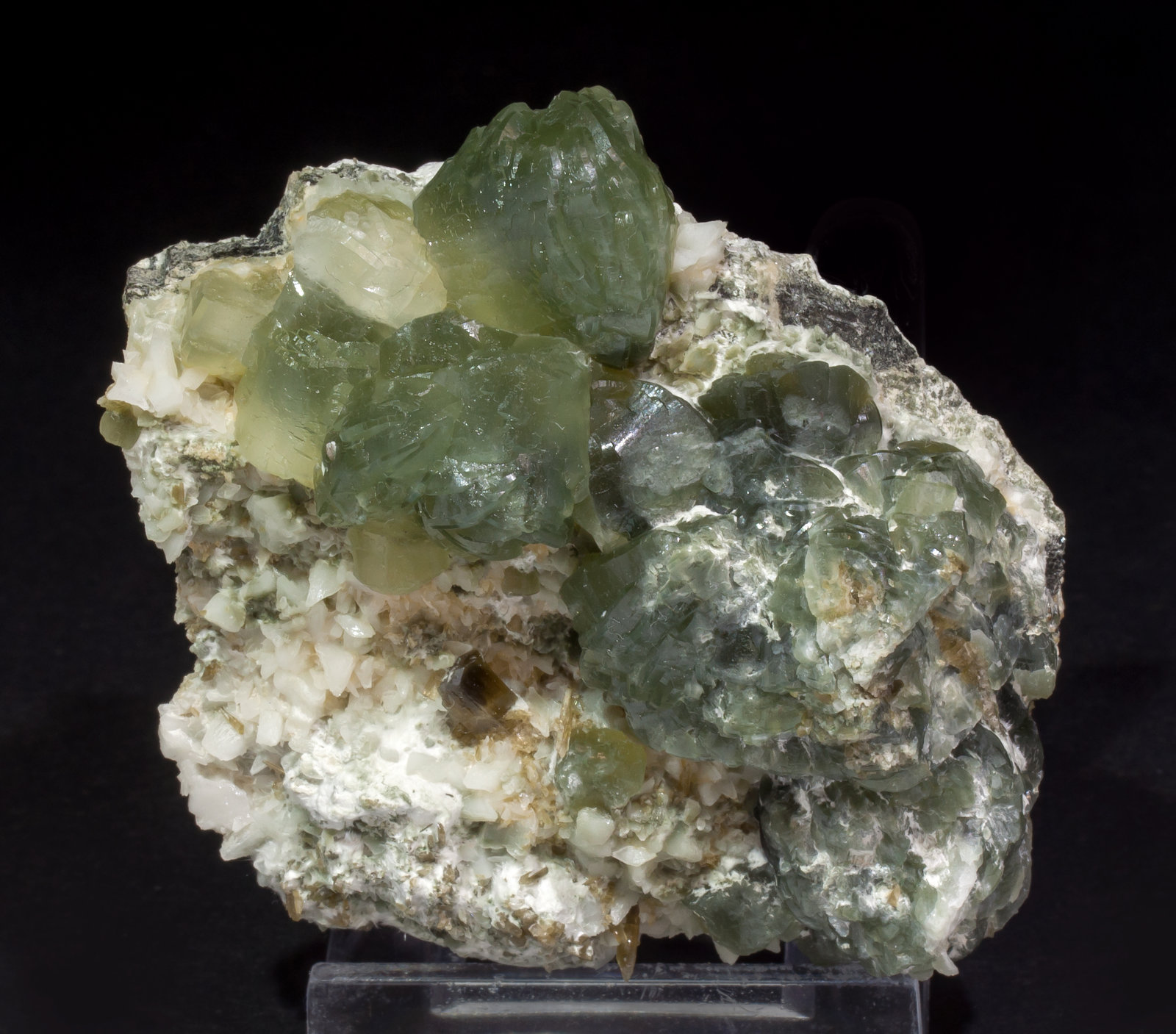 specimens/s_imagesAL5/Prehnite-MA7AL5f.jpg