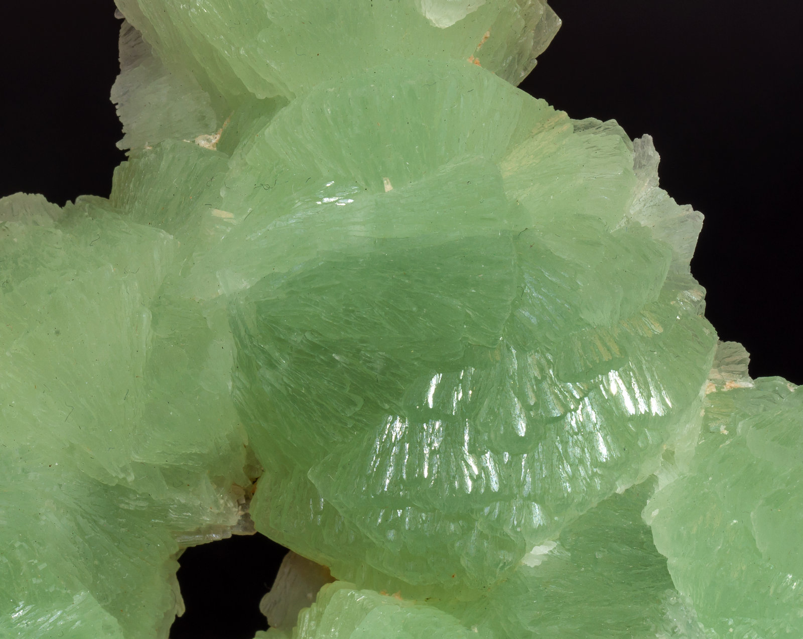 specimens/s_imagesAL5/Prehnite-MB99AL5d.jpg