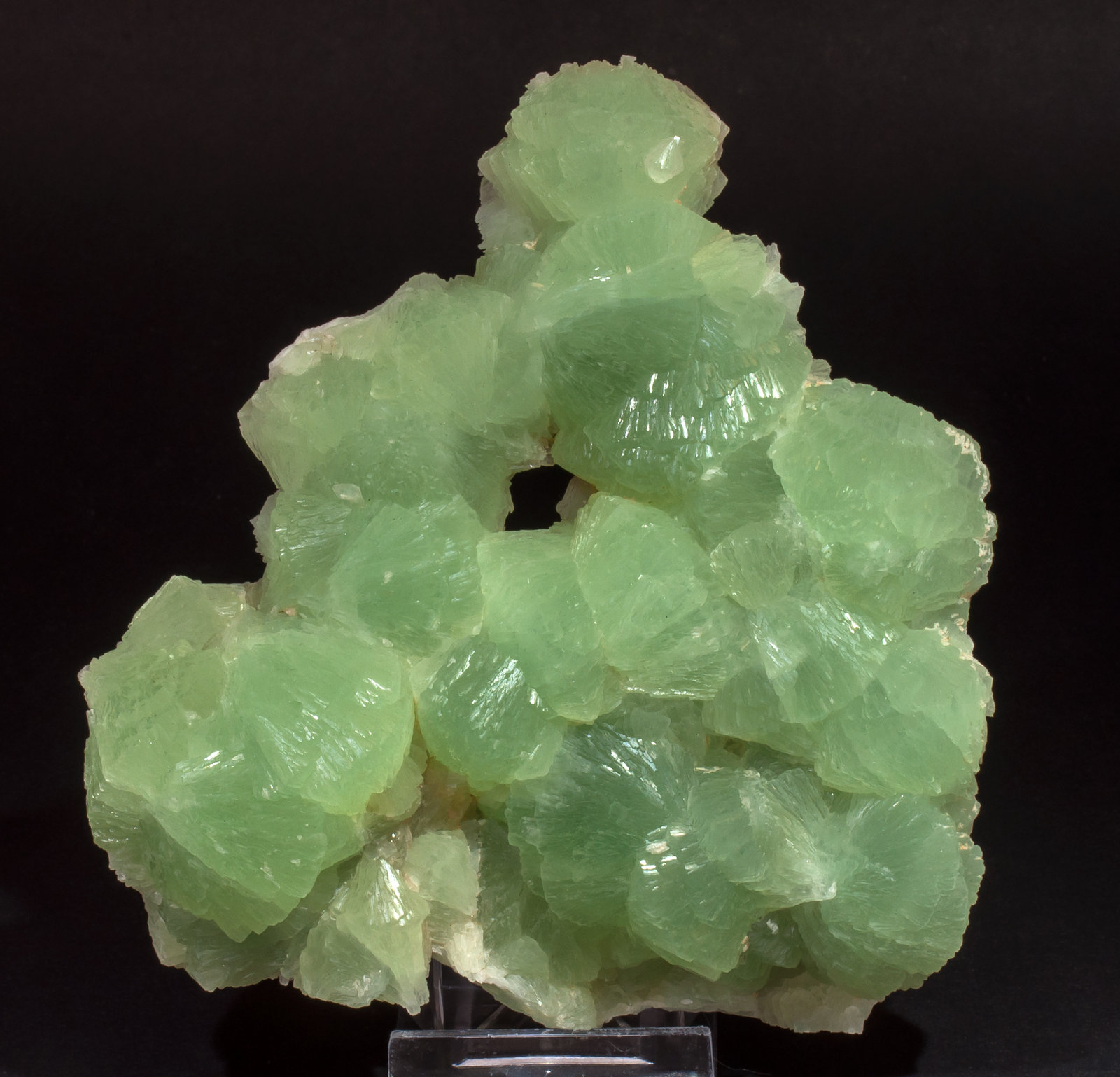 specimens/s_imagesAL5/Prehnite-MB99AL5f.jpg