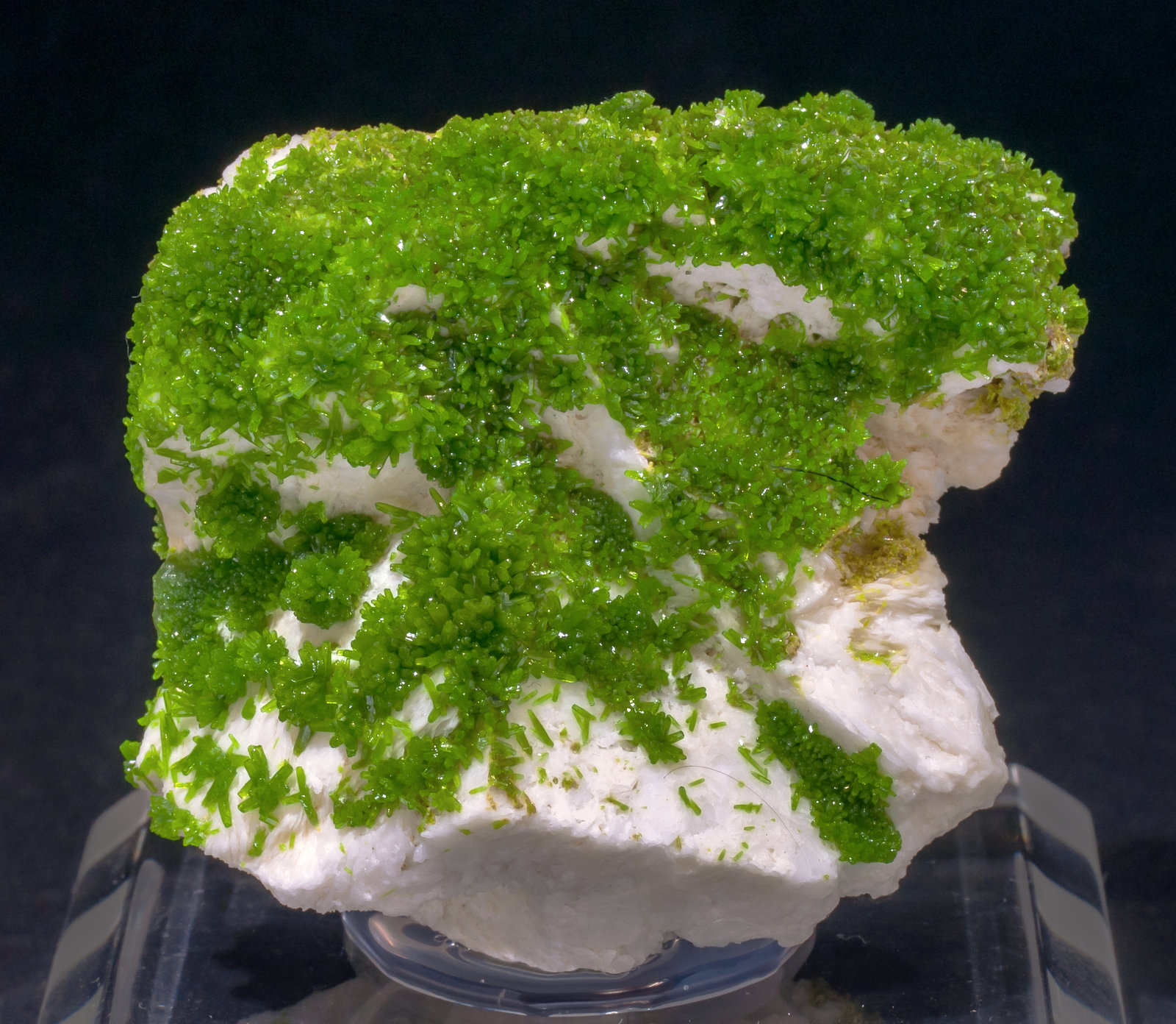 specimens/s_imagesAL5/Pyromorphite-NC69AL5f.jpg