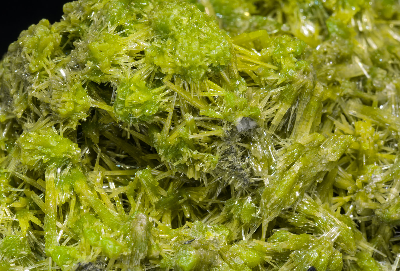 specimens/s_imagesAL5/Pyromorphite-NT92AL5d.jpg