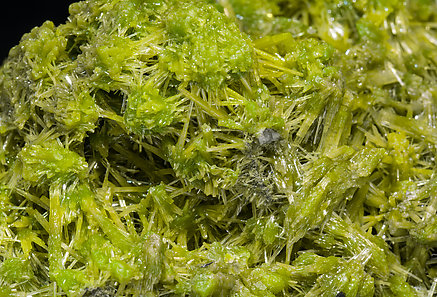 Pyromorphite. 