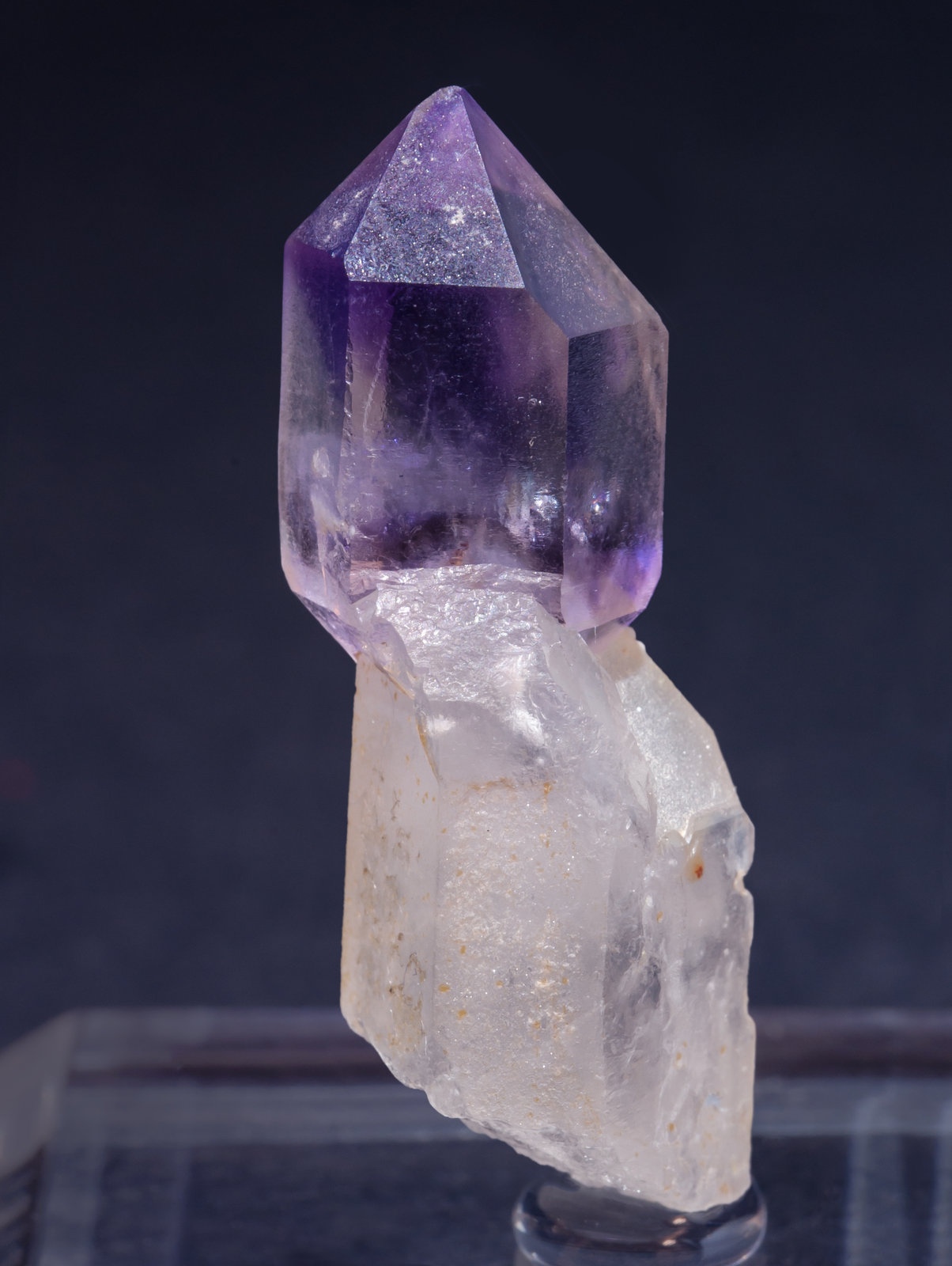 specimens/s_imagesAL5/Quartz_amethyst-ED46AL5f.jpg