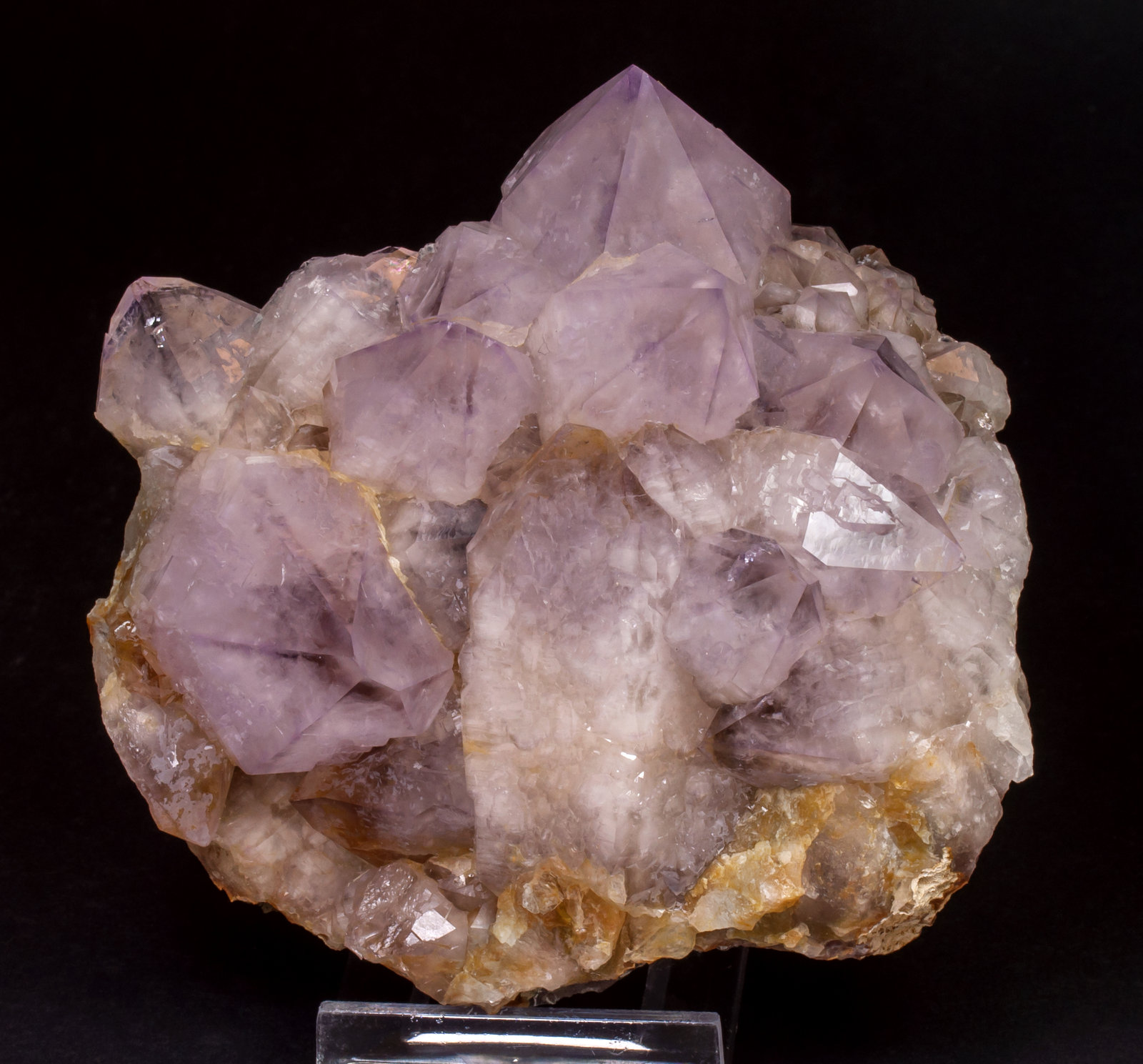 specimens/s_imagesAL5/Quartz_amethyst-NR67AL5f.jpg