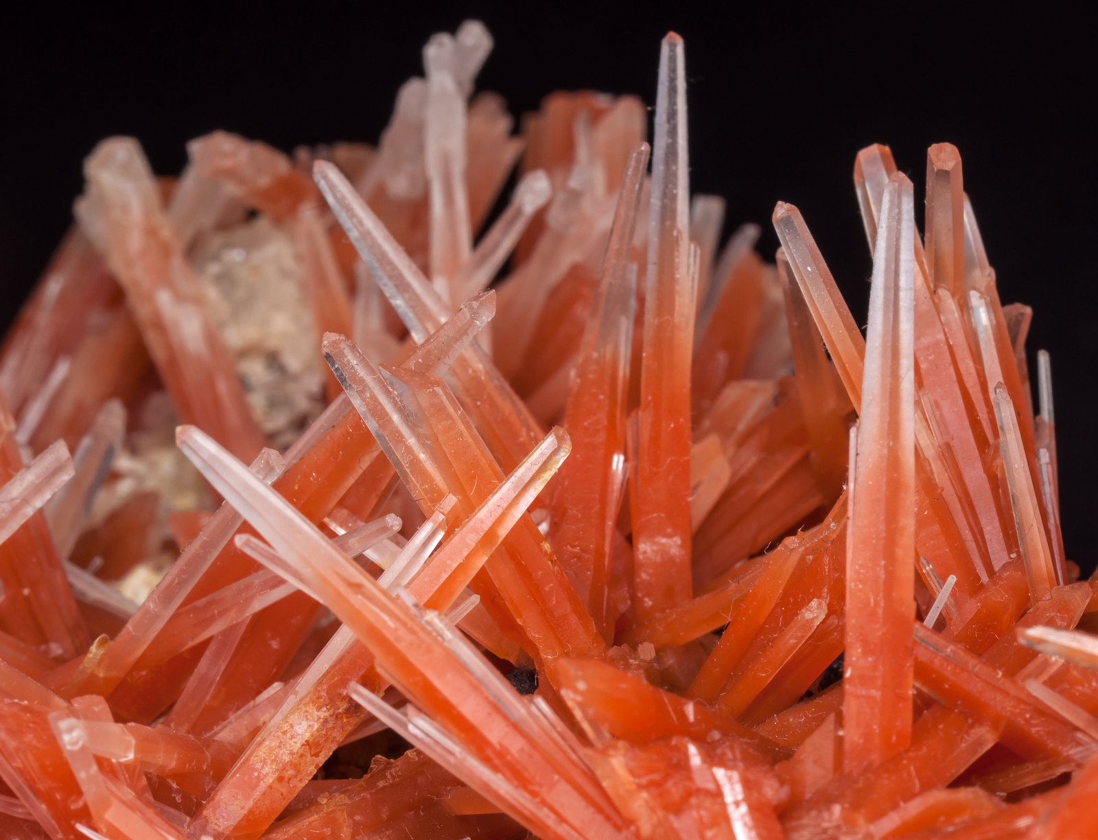 specimens/s_imagesAL5/Quartz_red-EA62AL5d2.jpg