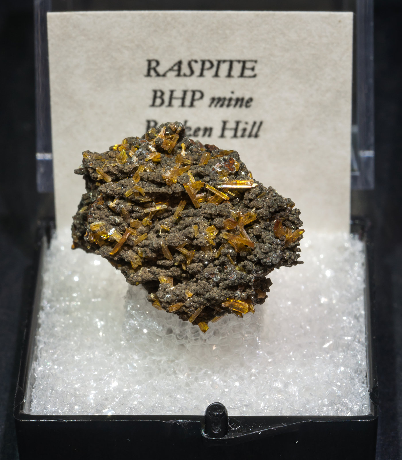 specimens/s_imagesAL5/Raspite-TE91AL5f1.jpg