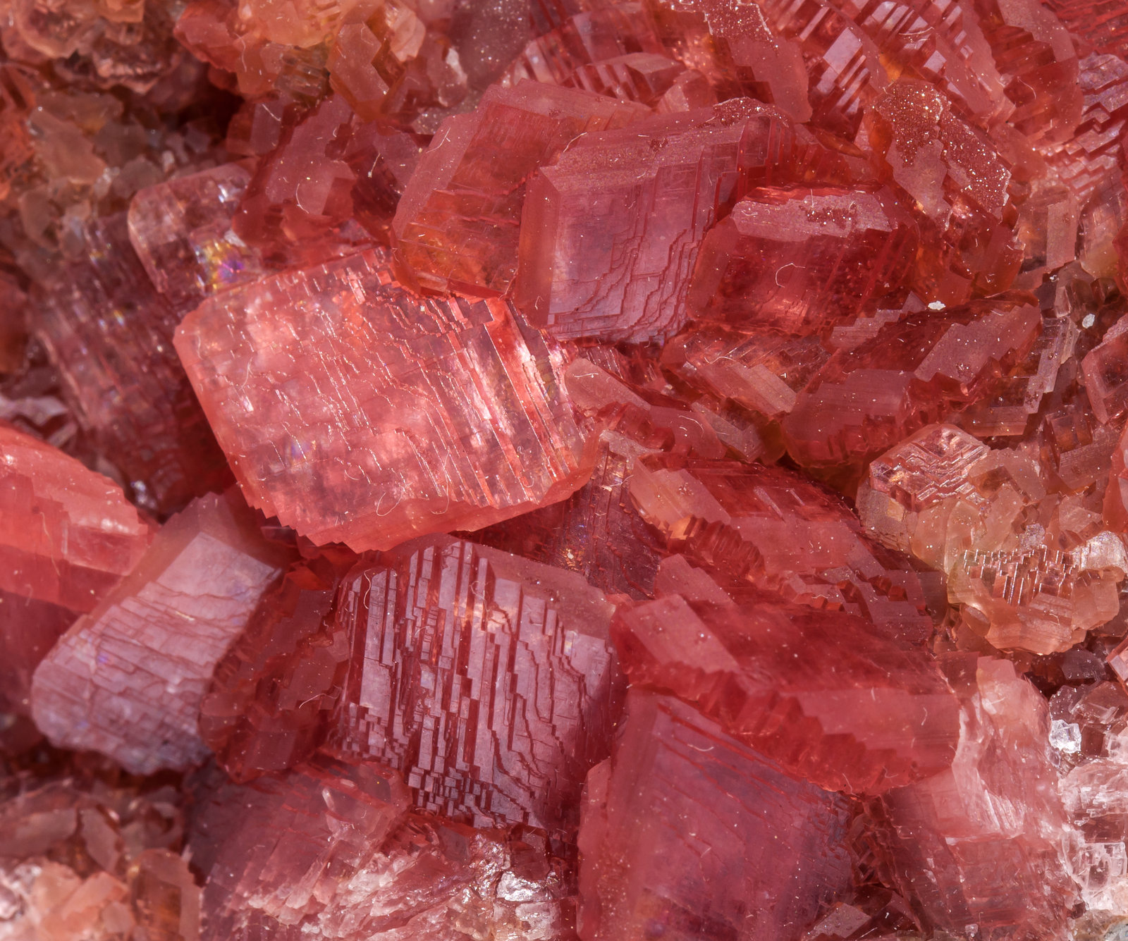 specimens/s_imagesAL5/Rhodochrosite-NE91AL5d.jpg