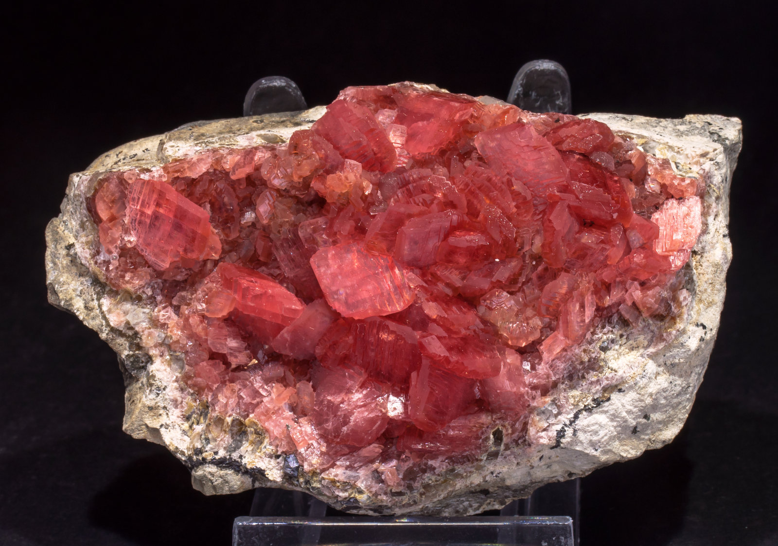 specimens/s_imagesAL5/Rhodochrosite-NE91AL5f.jpg