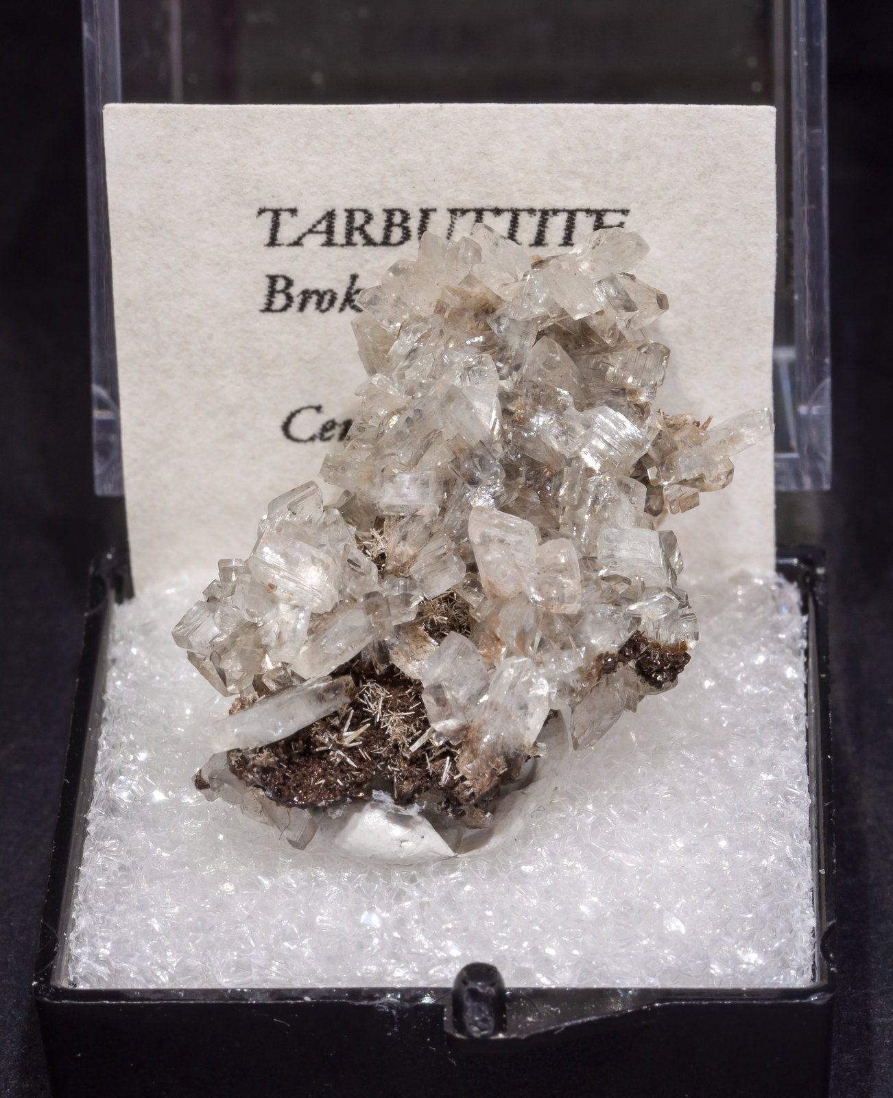 specimens/s_imagesAL5/Tarbuttite-TA37AL5f1.jpg