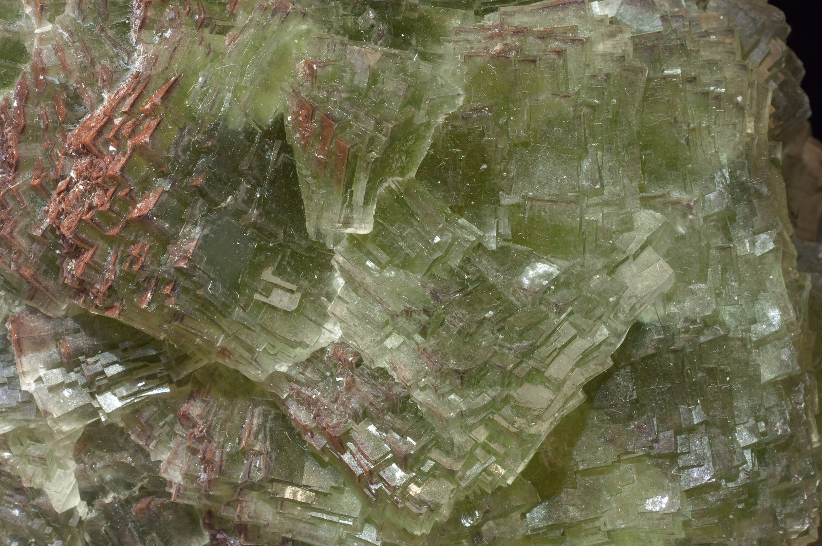 specimens/s_imagesAL6/Fluorite-MF92AL6d.jpg