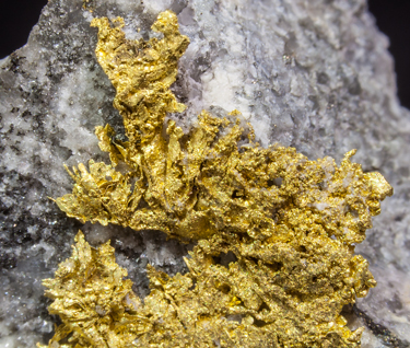 Gold with Quartz and Sphalerite. 