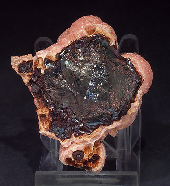 Rhodochrosite with Hisingerite-Neotocite (Series). Rear