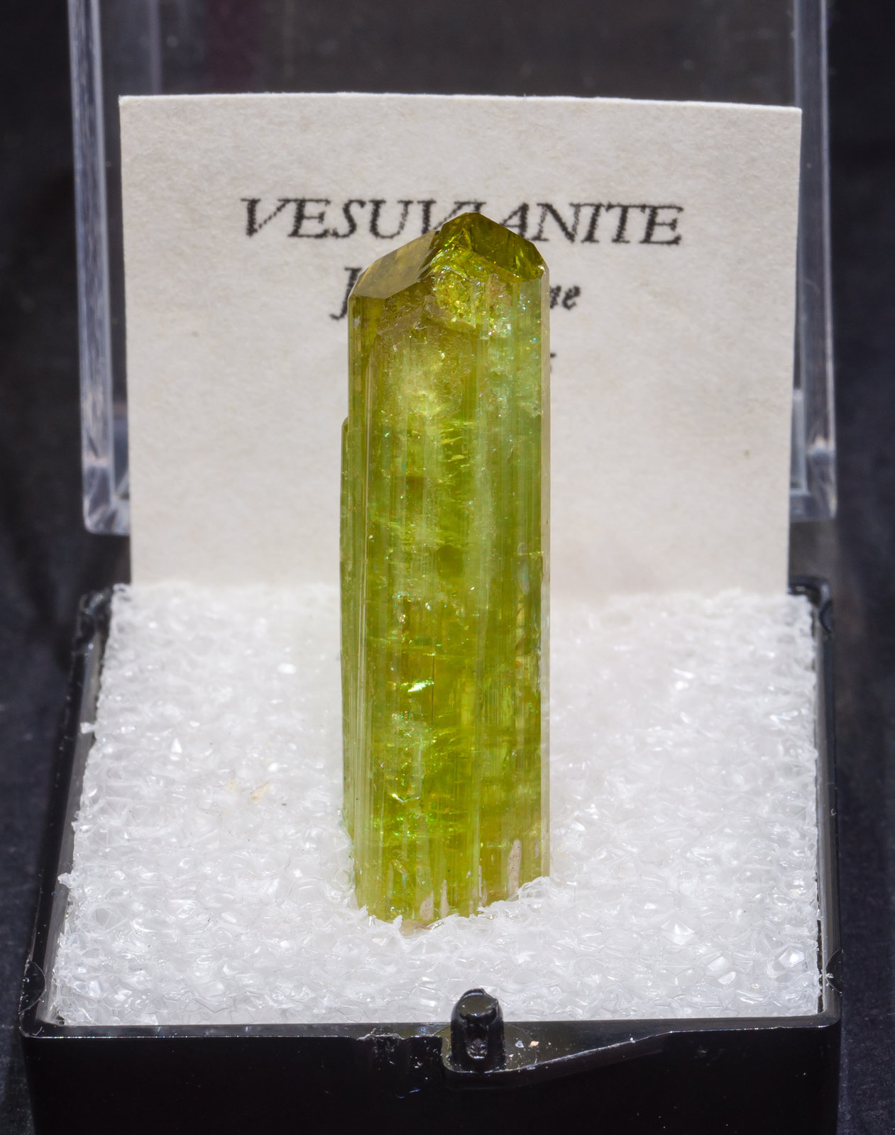 specimens/s_imagesAL6/Vesuvianite-TH76AL6f1.jpg