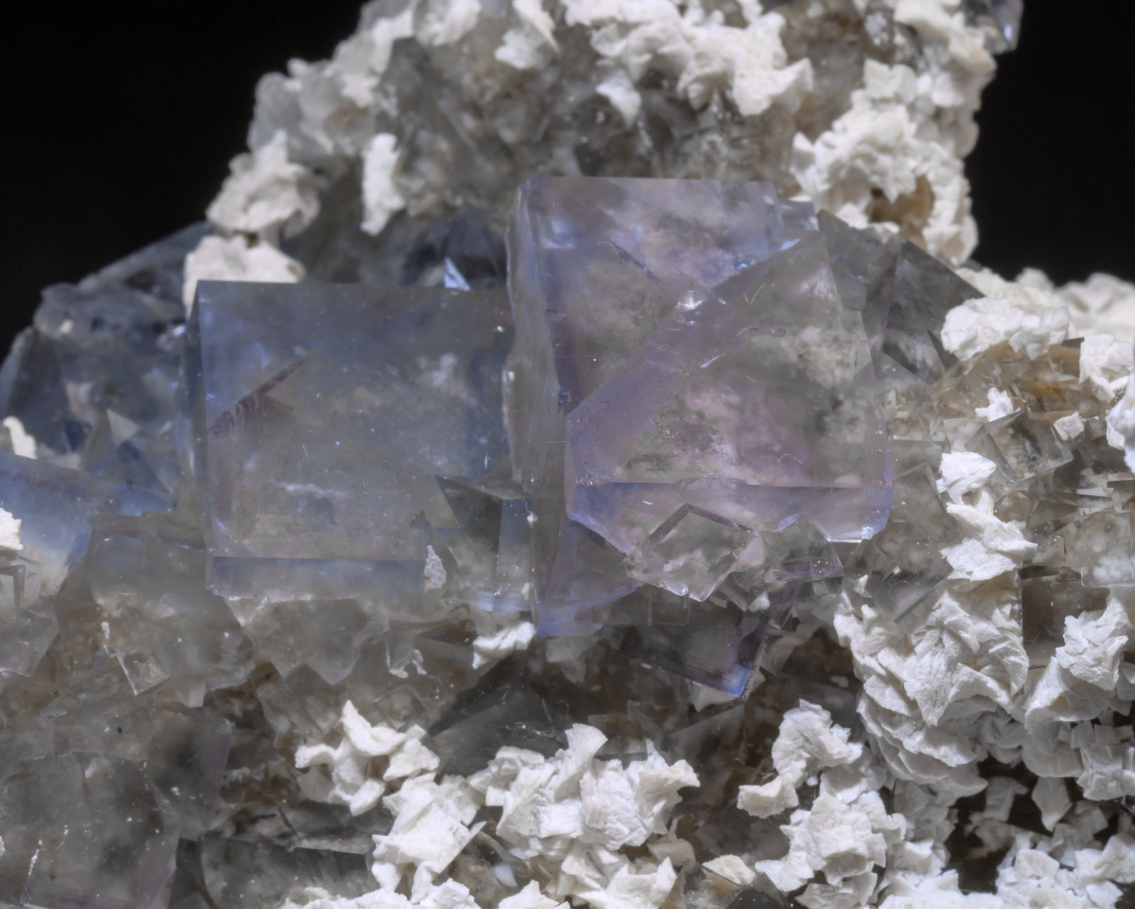 specimens/s_imagesAL7/Fluorite-FQ68AL7d.jpg