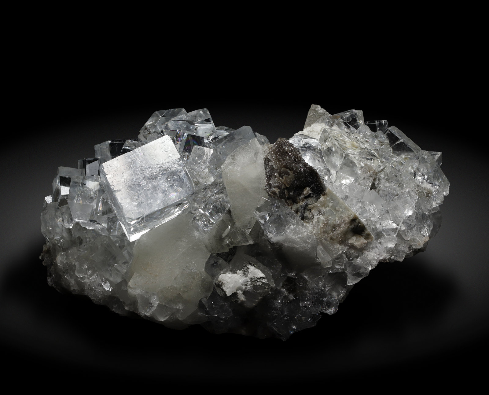 specimens/s_imagesAL7/Fluorite-NJ50AL7_0800_r.jpg
