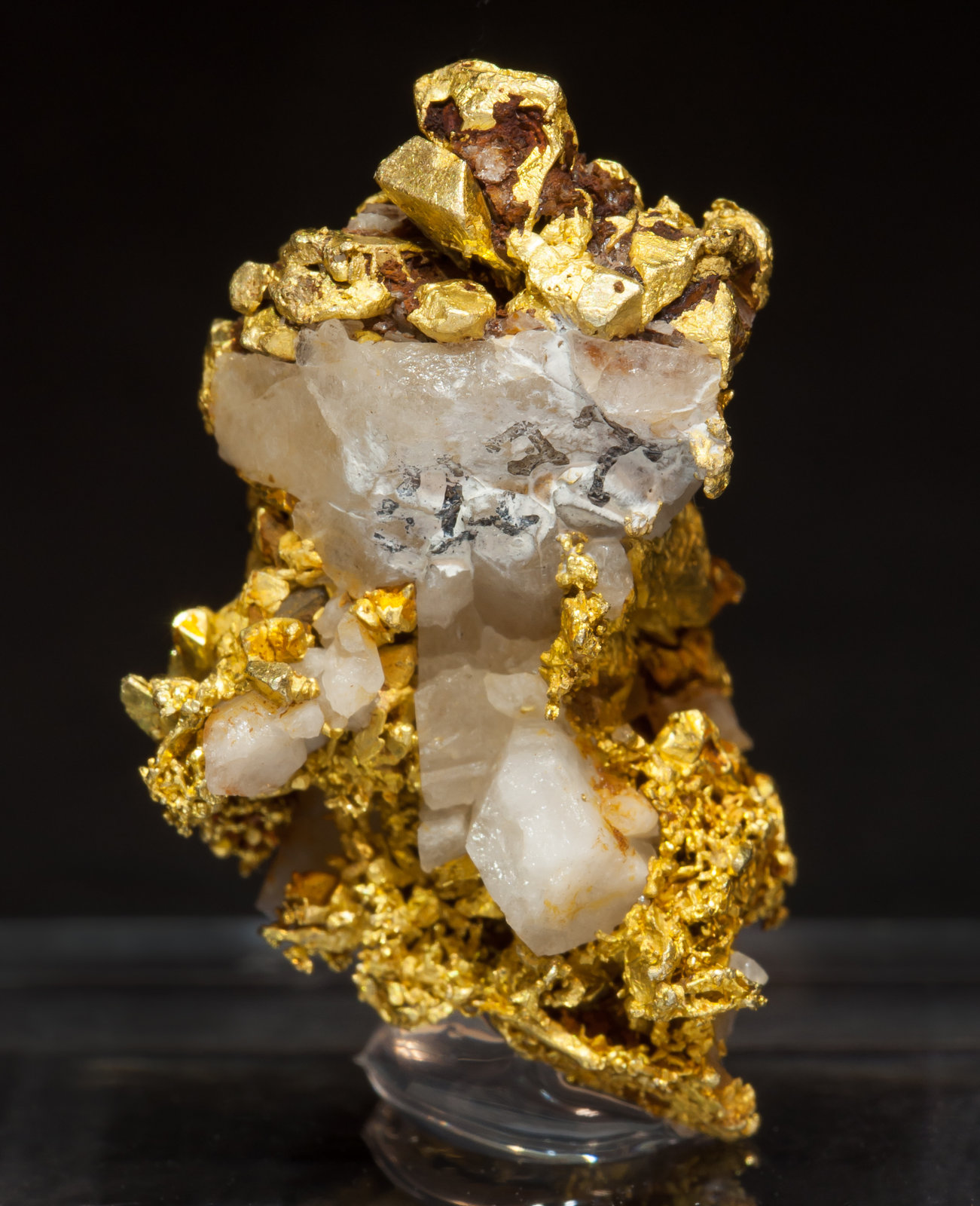 specimens/s_imagesAL7/Gold-EM96AL7r.jpg