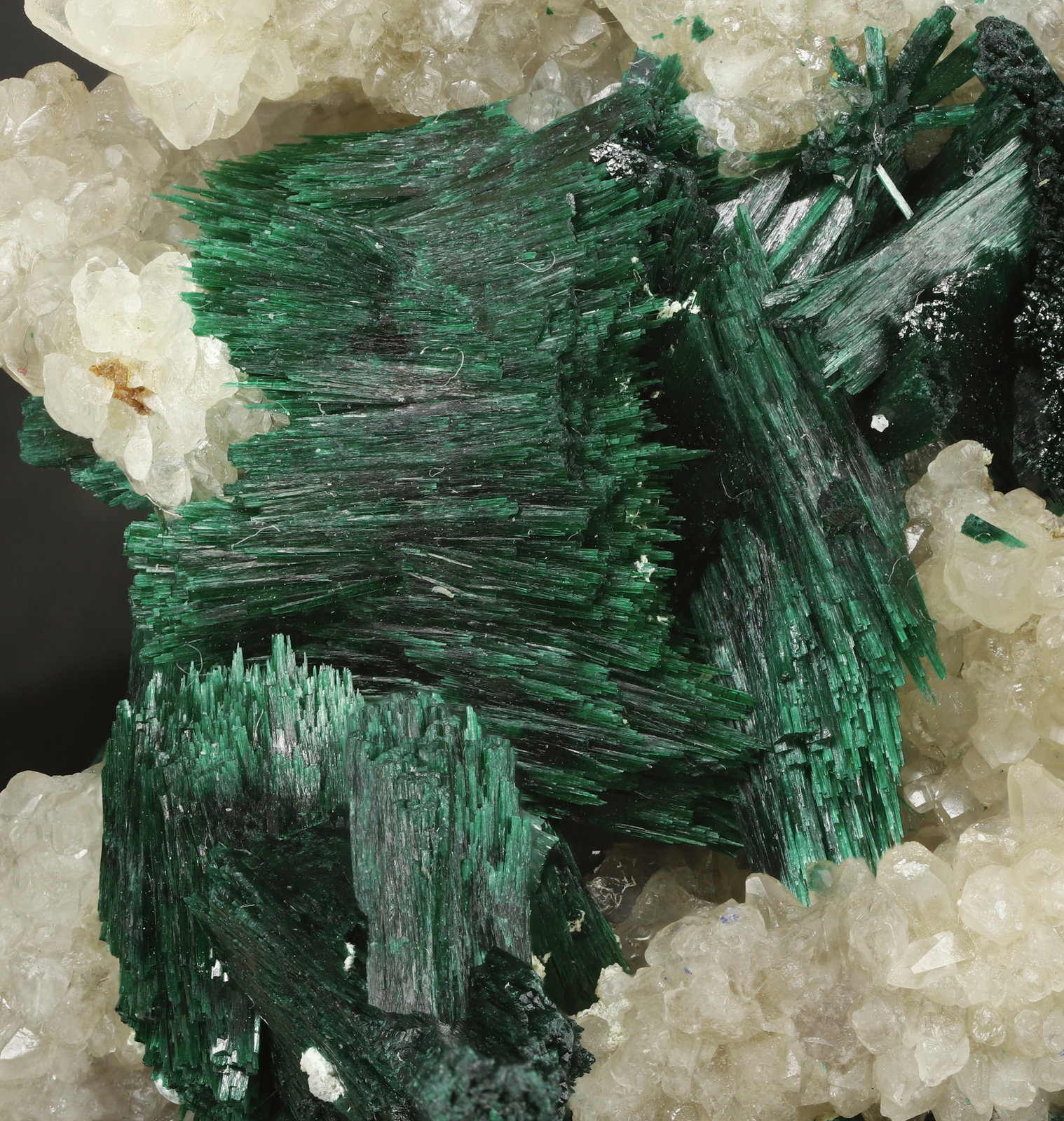 specimens/s_imagesAL7/Malachite-MD99AL7_0947_d.jpg