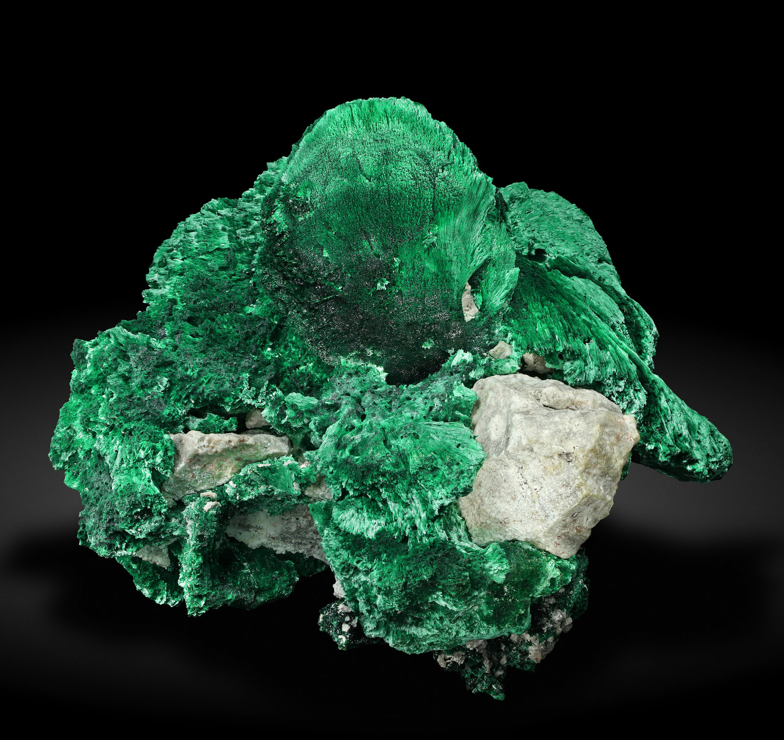 specimens/s_imagesAL7/Malachite-TE27AL7_1196_f.jpg