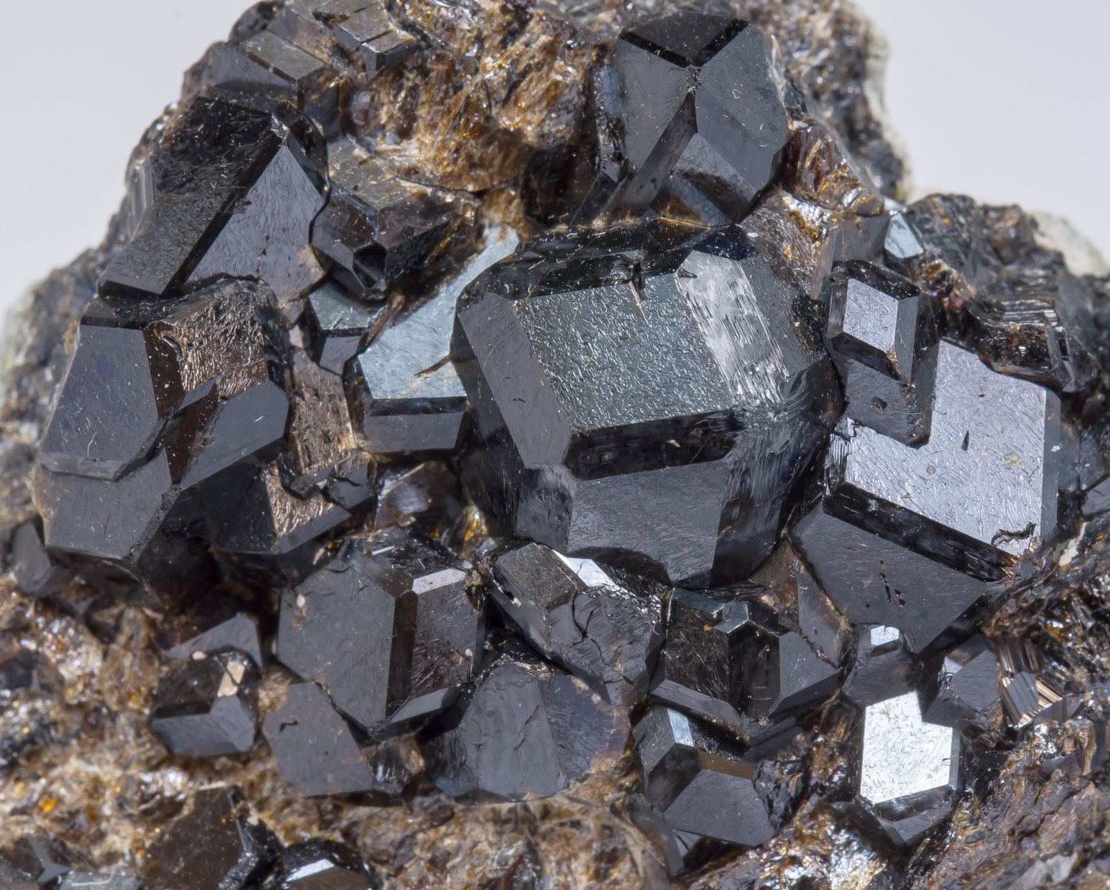 specimens/s_imagesAL8/Andradite-AB14AL8d.jpg