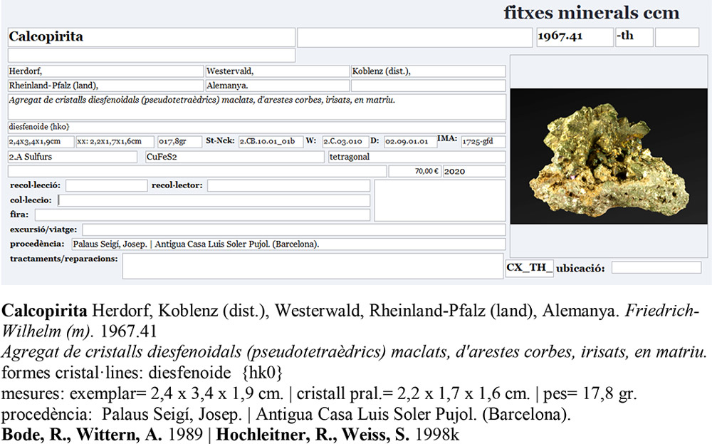 specimens/s_imagesAL8/Chalcopyrite-CB14AL8e.jpg