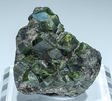 Chrysoberyl (variety alexandrite) with Phlogopite.