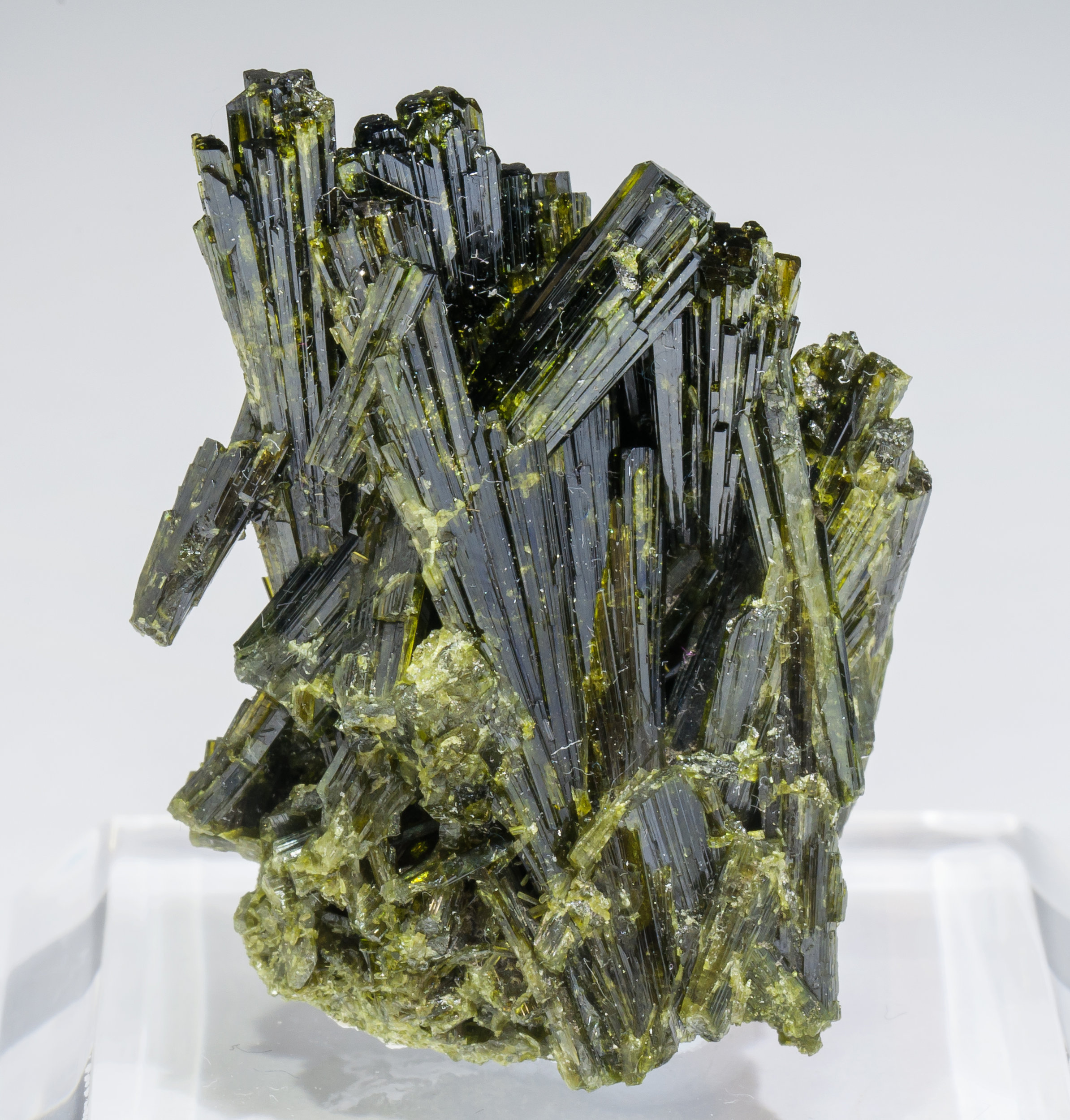 specimens/s_imagesAL8/Epidote-CA11AL8f.jpg