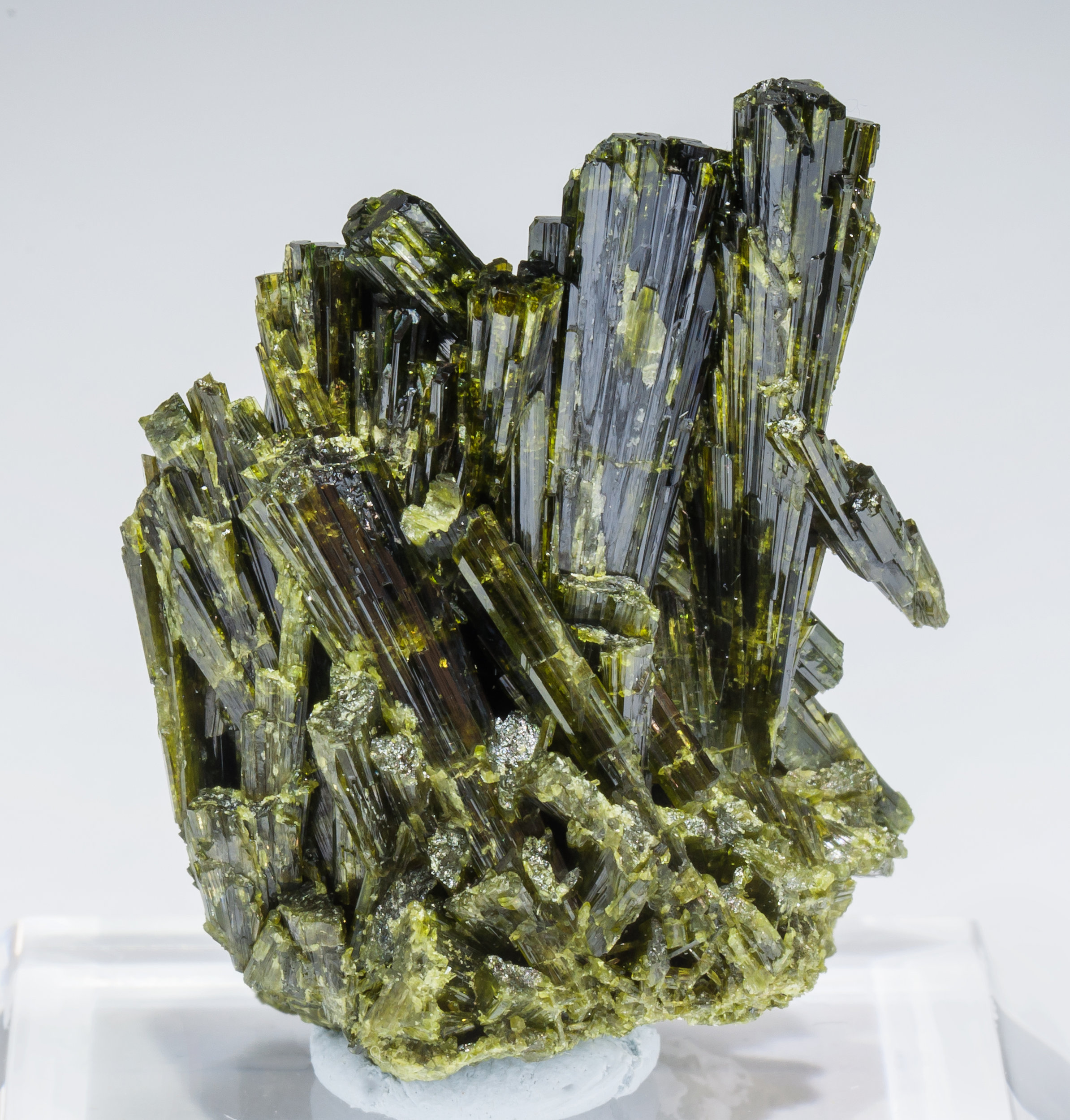 specimens/s_imagesAL8/Epidote-CA11AL8r.jpg