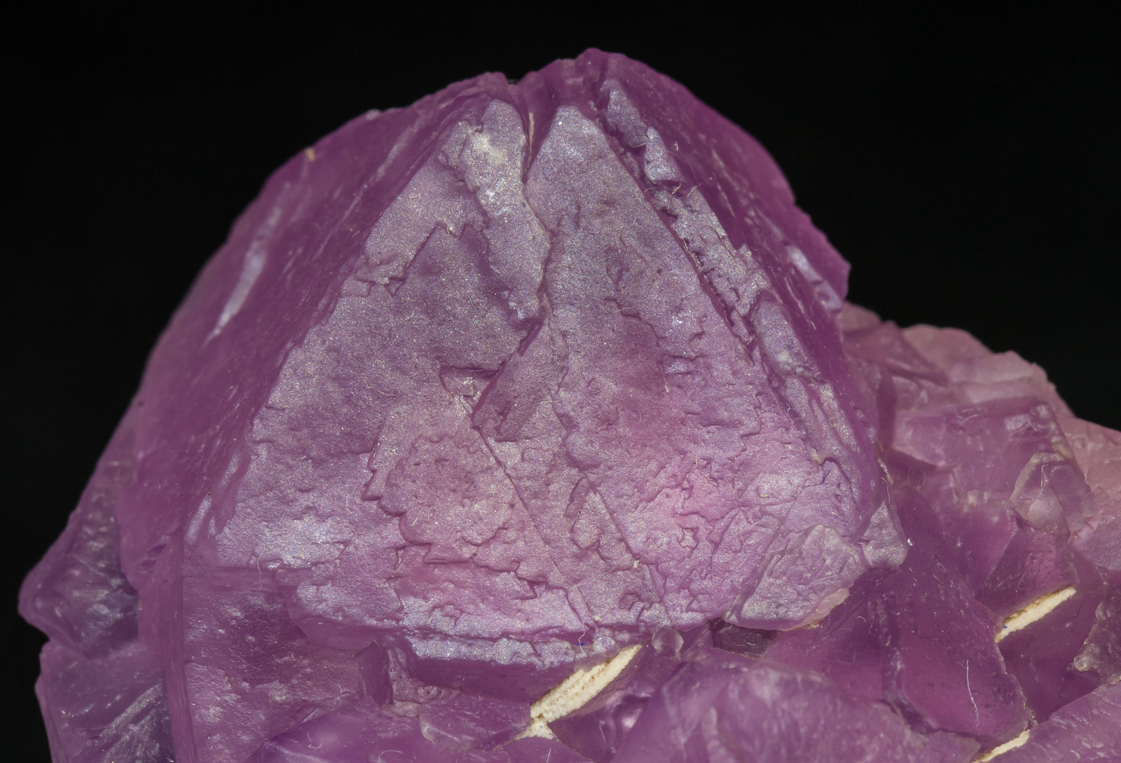 specimens/s_imagesAL8/Fluorite-DC68AL8d.jpg