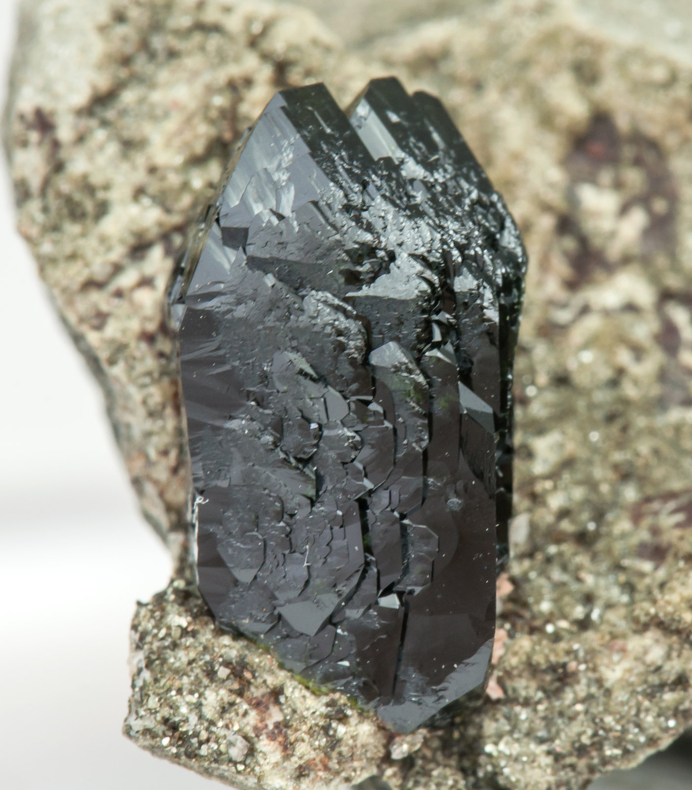 specimens/s_imagesAL8/Libethenite-EB36AL8d.jpg