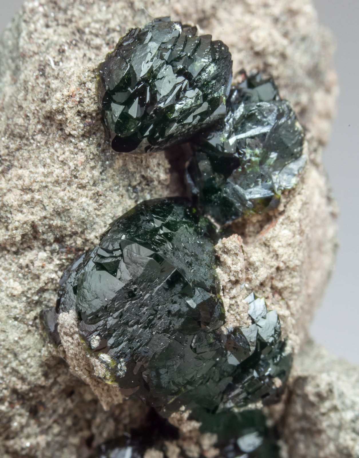 specimens/s_imagesAL8/Libethenite-EE86AL8d.jpg