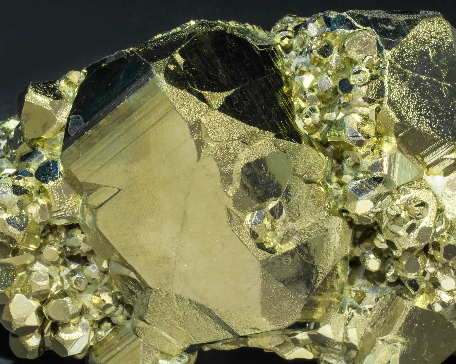 specimens/s_imagesAL8/Pyrite-TR92AL8d1.jpg