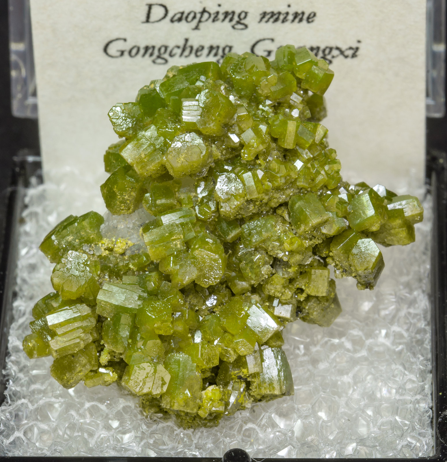 specimens/s_imagesAL8/Pyromorphite-TF66AL8f2.jpg