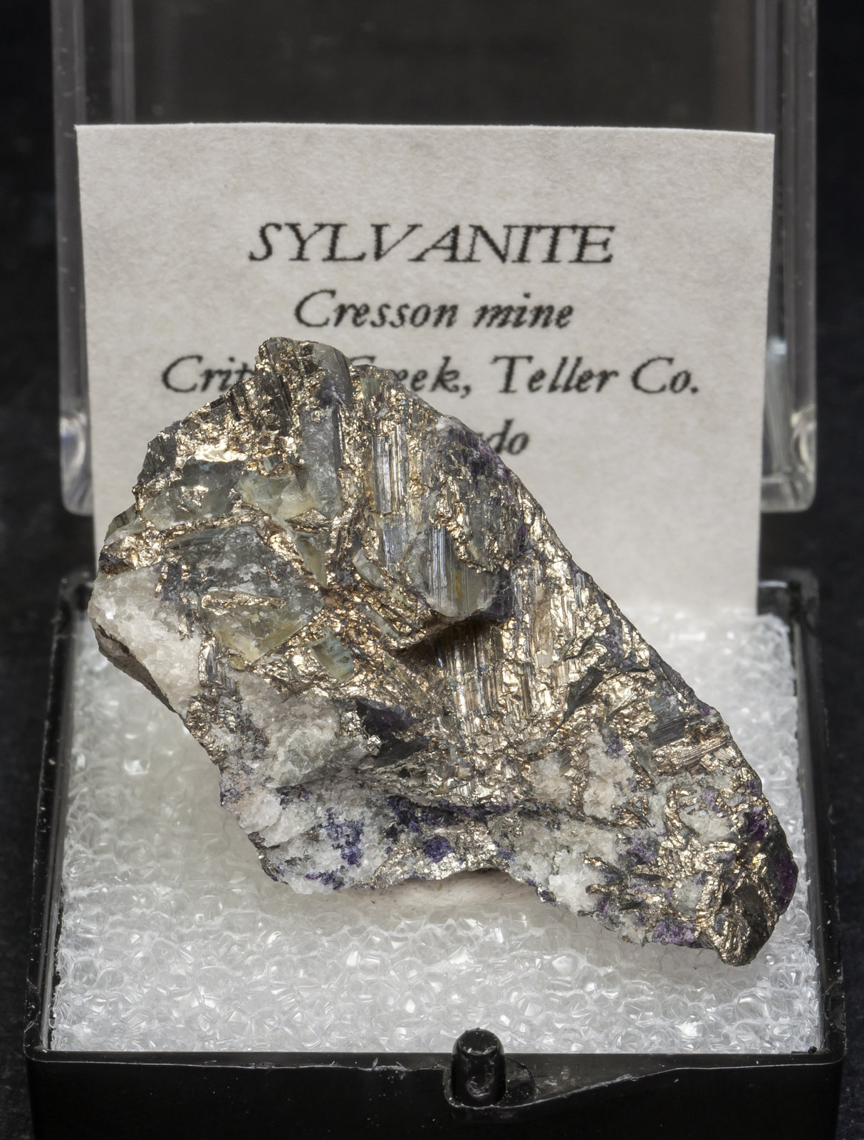specimens/s_imagesAL8/Sylvanite-TD27AL8f.jpg