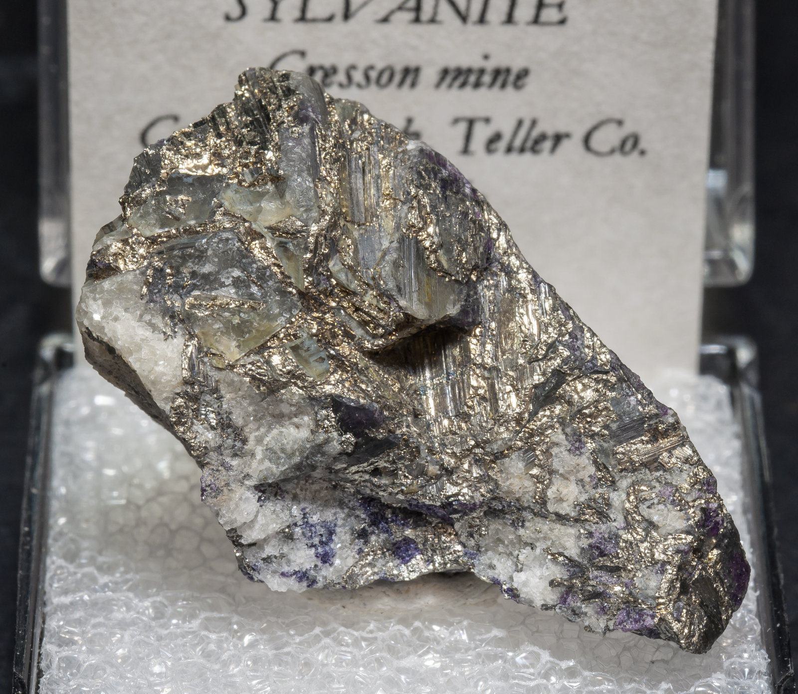 specimens/s_imagesAL8/Sylvanite-TD27AL8f2.jpg