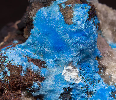 Carbonatecyanotrichite with Calcite and Fluorite. 