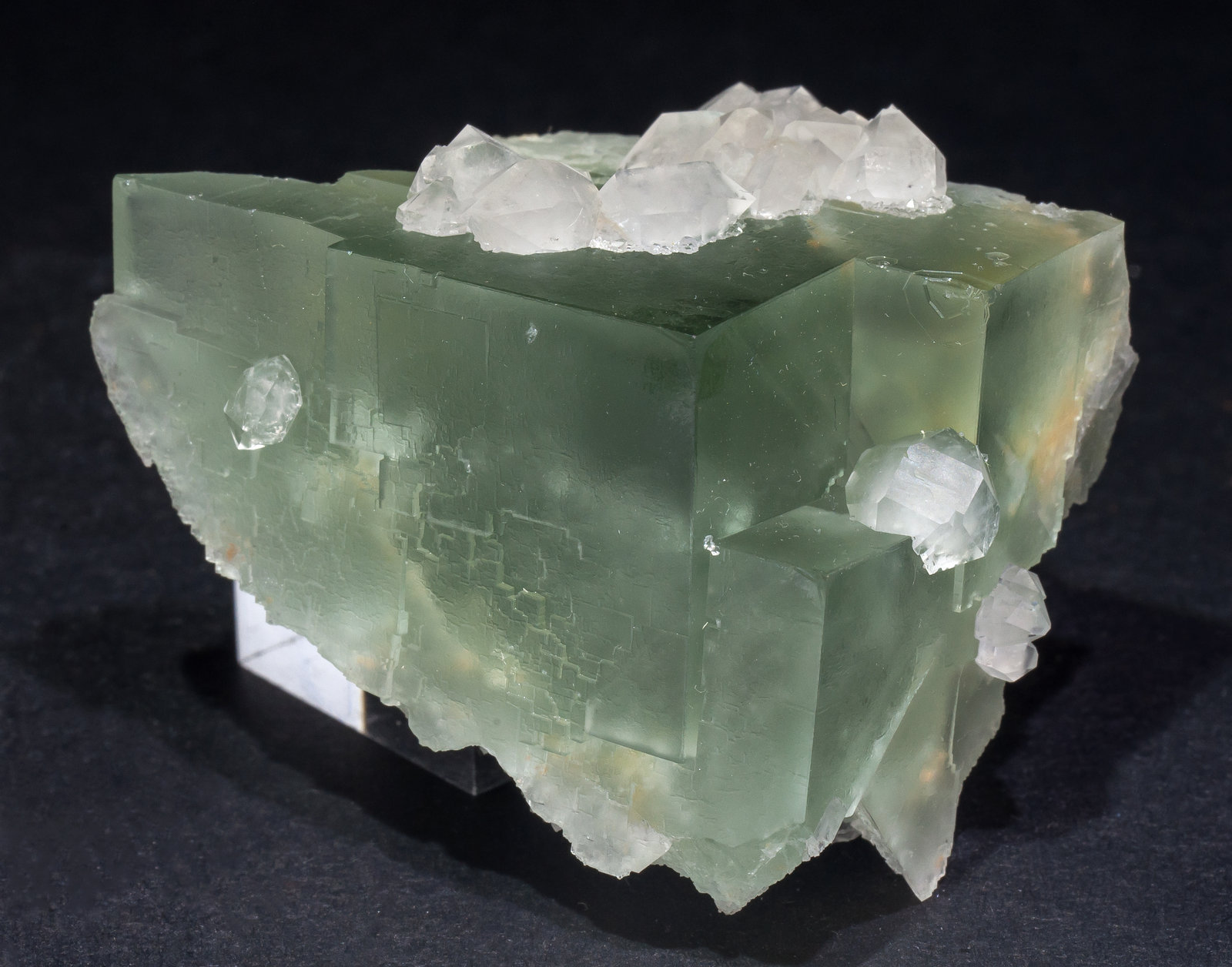 specimens/s_imagesAL9/Fluorite-EF16AL9f.jpg