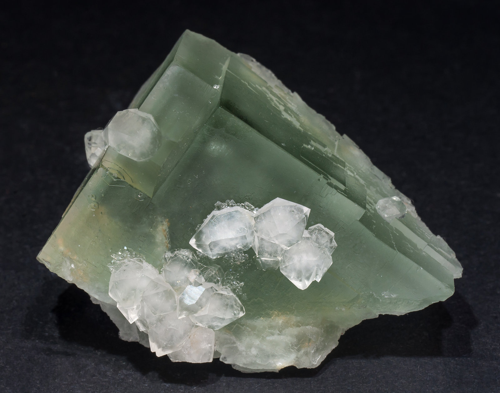 specimens/s_imagesAL9/Fluorite-EF16AL9s.jpg