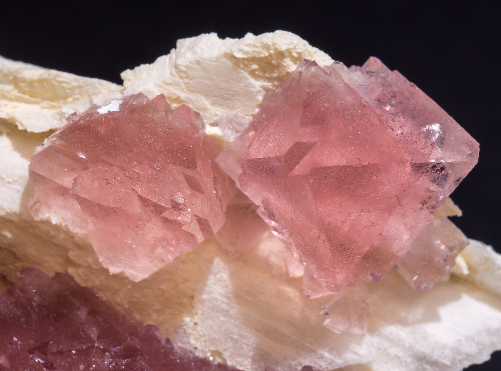 specimens/s_imagesAL9/Fluorite-ER48AL9d2.jpg